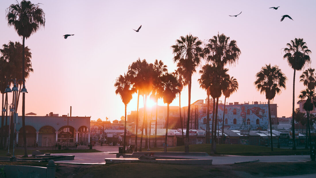 Beach & Los Angeles Theme-Vorschau